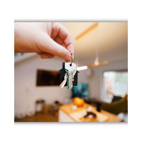 Birdie Home | Cathering Navas