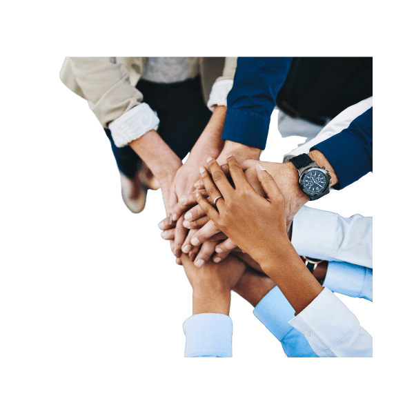 Equipo Birdie Home | Cathering Navas