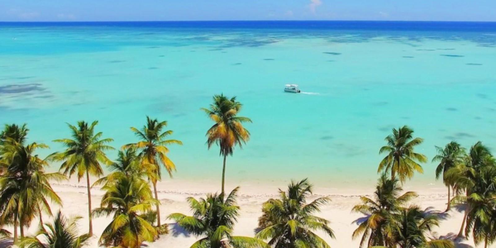 Rentabilidad y Plusvalía en Cap Cana con BirdieHome
