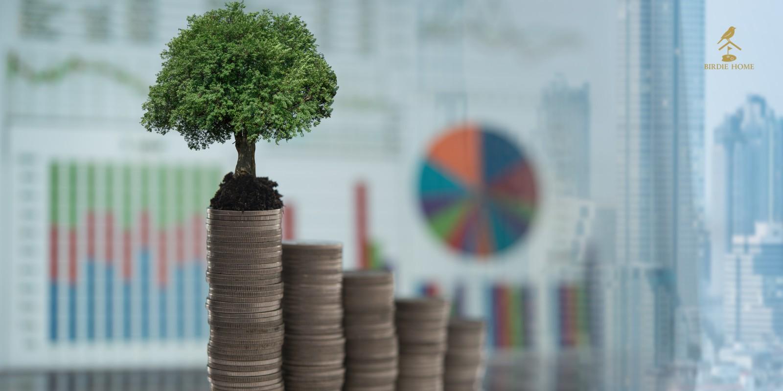 La Plusvalía como Clave en Inversiones Inmobiliarias