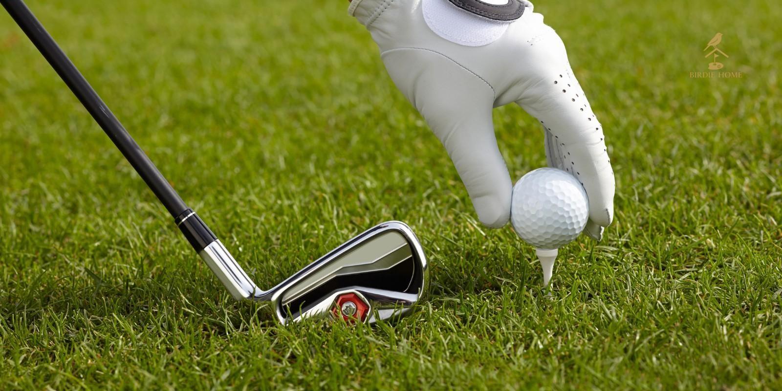 Campos de Golf en Punta Cana y Oportunidades de Inversión