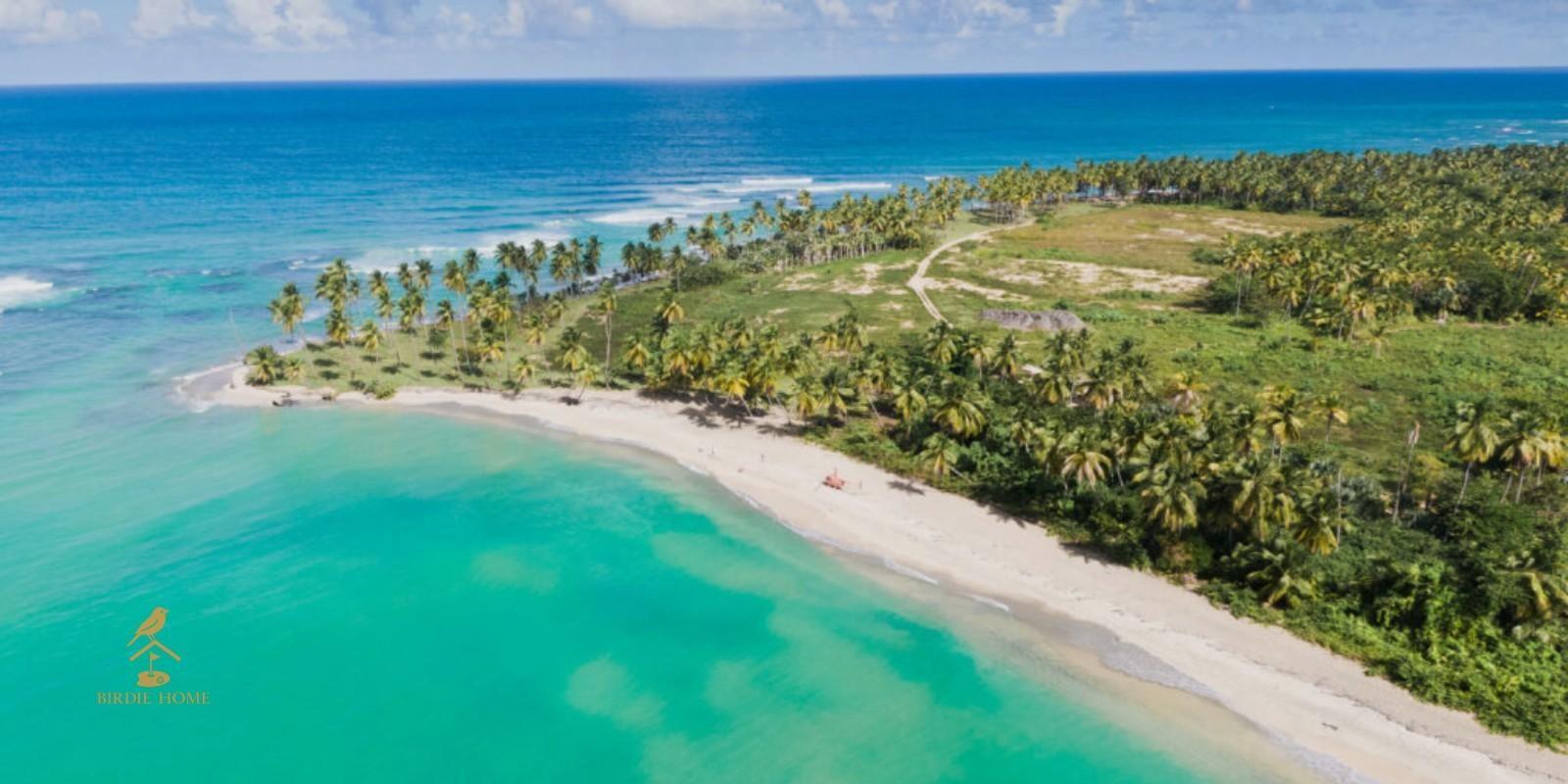 Miches: Oportunidades Inmobiliarias en el Caribe