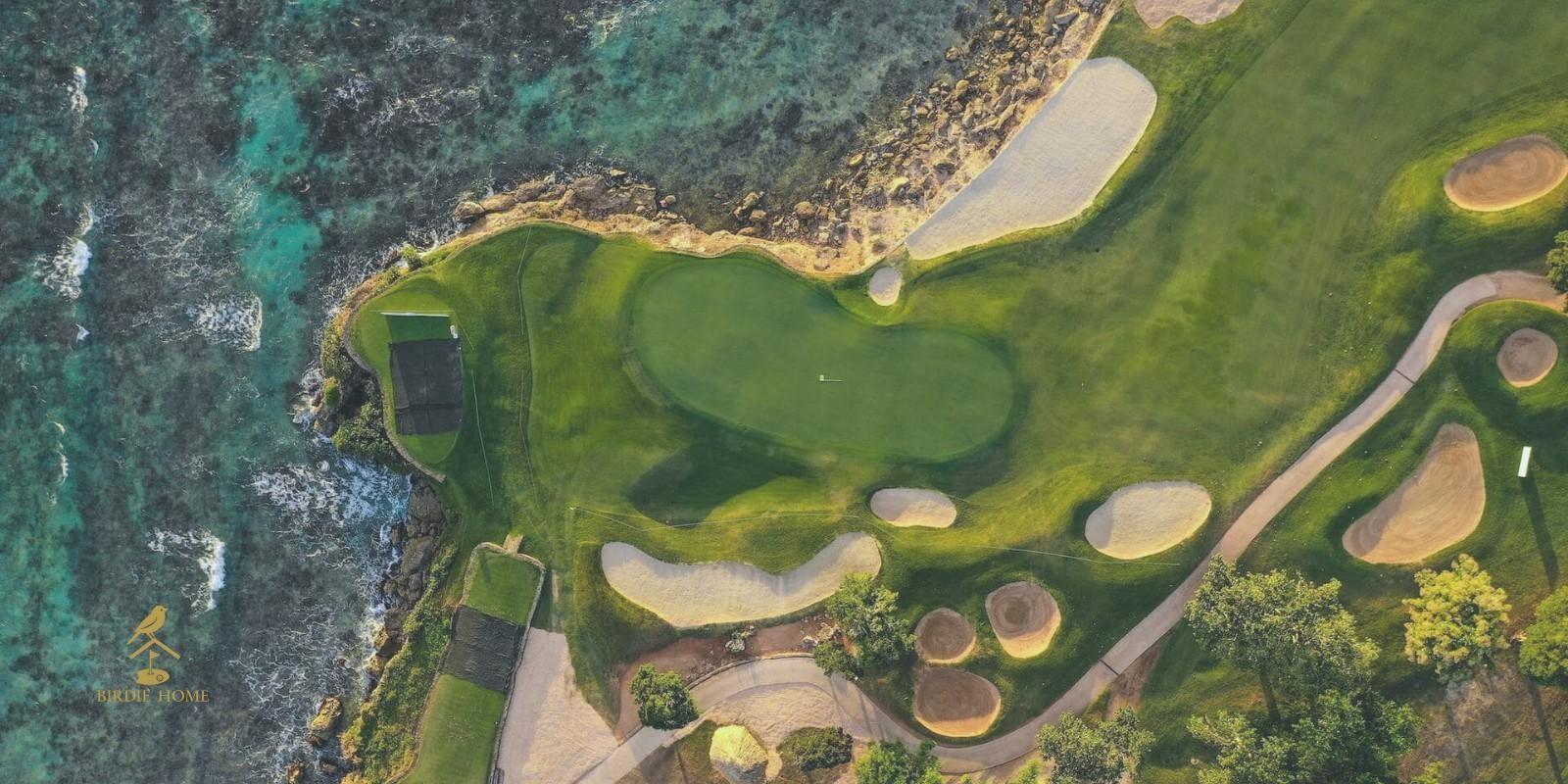 Torneo Pro AM Latinoamérica: Golf y Experiencias Únicas