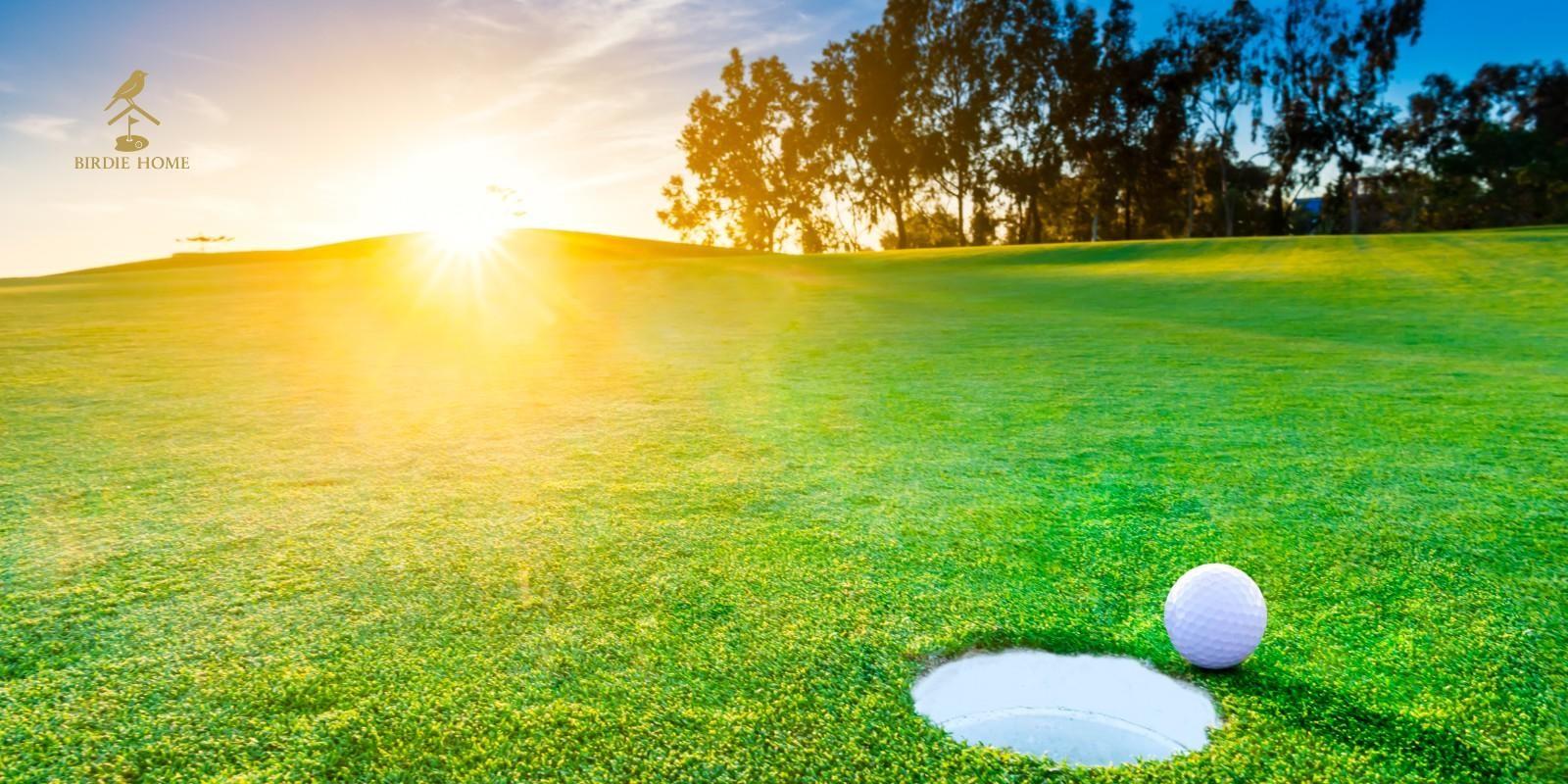The Dream Golf Cup: Una Experiencia Inolvidable