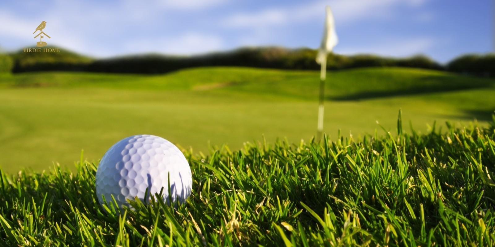 Torneo Internacional Pro Am del Caribe 2026