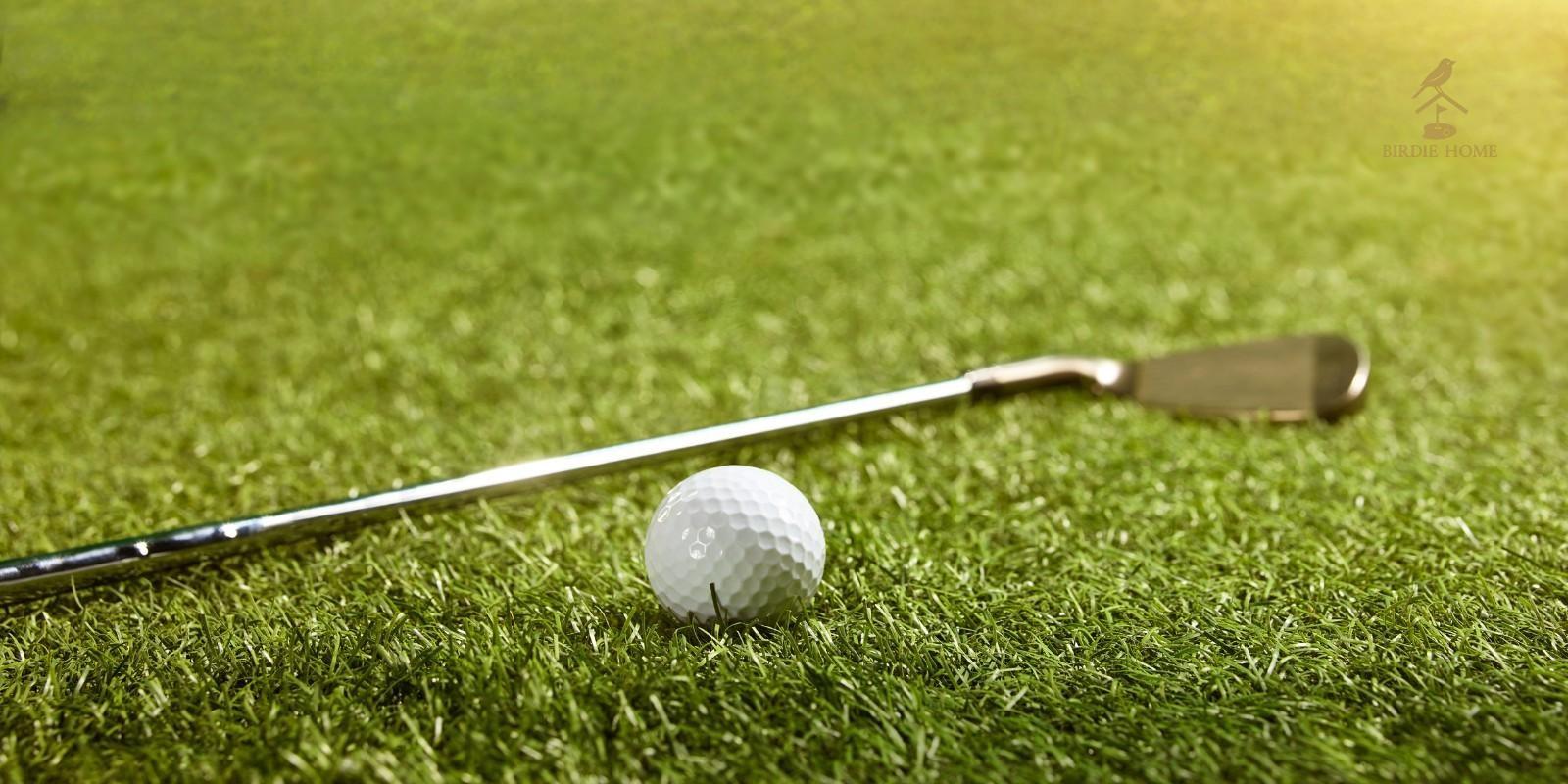 Torneo de Golf XXXIX Pro Am Internacional Caribe II