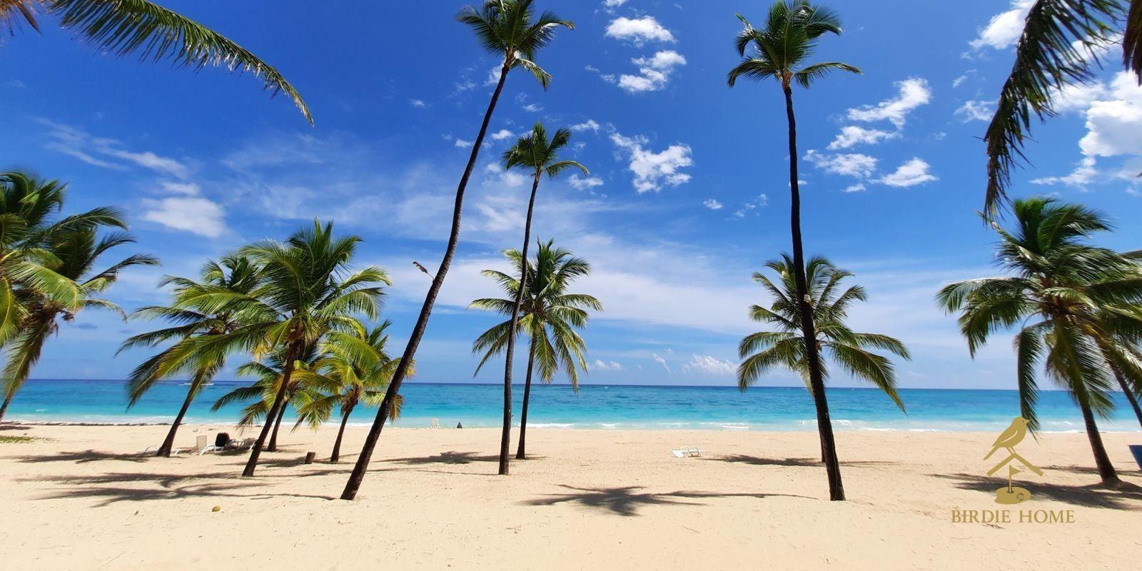 Mexicanos Invierten en el Caribe: Oportunidades en RD