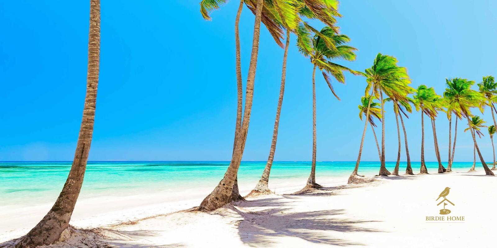República Dominicana: El Paraíso Sin Impuestos para Inversionistas