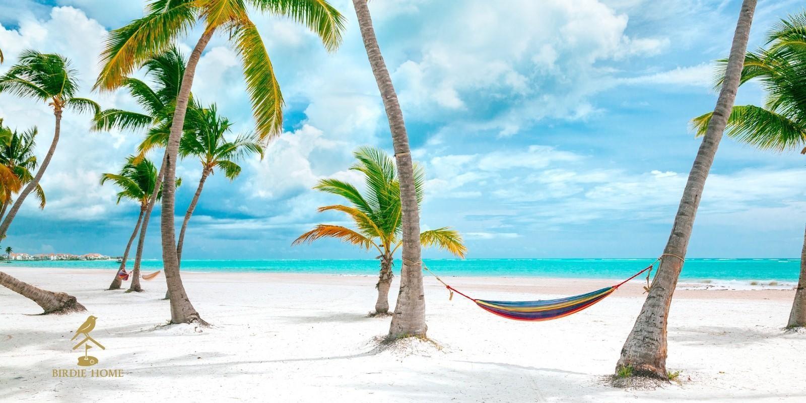 Is Cap Cana the Best Place to Invest in Real Estate in 2025? Discover Why Smart Investors Are Saying Yes