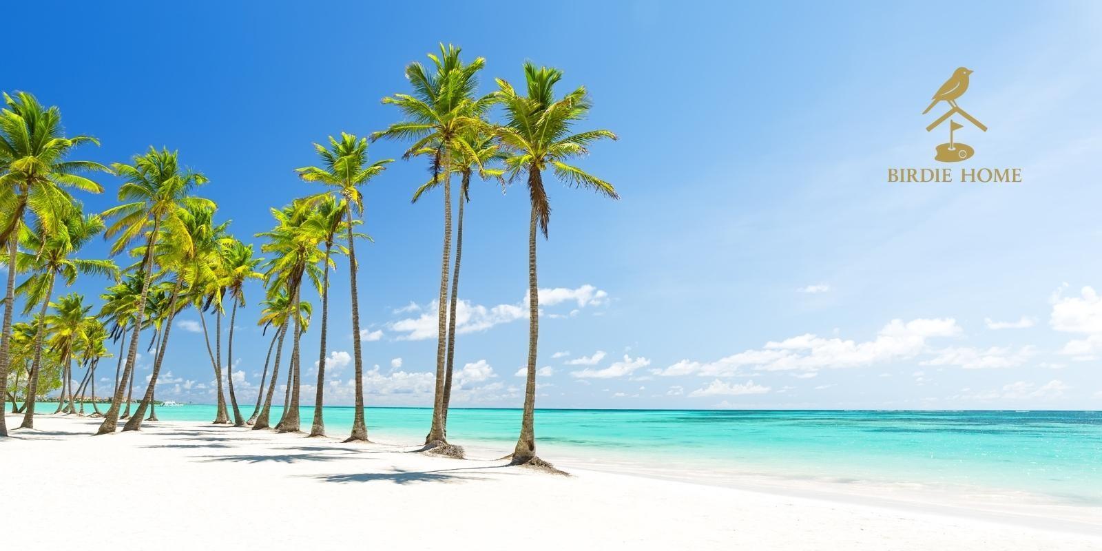 Successful Investments in the Dominican Republic